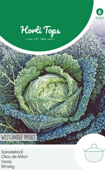 Savooiekool Westlandse Putjes (Brassica) 125 zaden